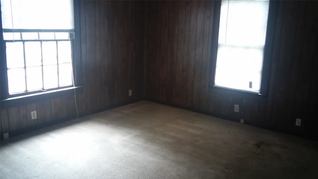 unfurnished room featuring wooden walls and carpet