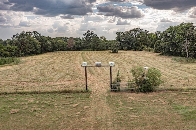 view of yard with a rural view