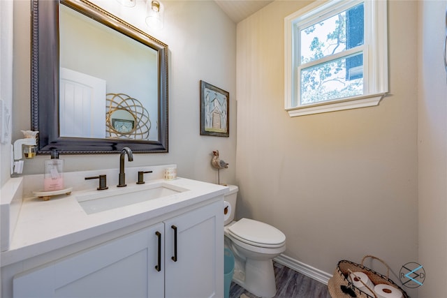 bathroom featuring vanity, wood-type flooring, and toilet