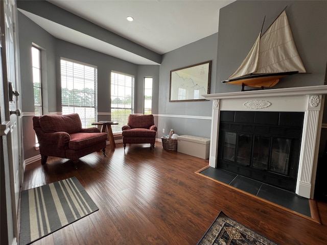 living room with a fireplace and dark hardwood / wood-style flooring