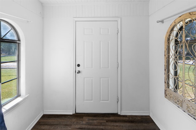 foyer with dark hardwood / wood-style flooring