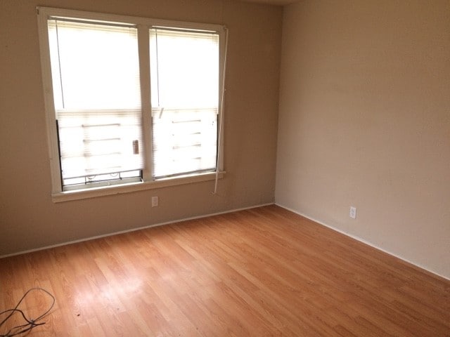 empty room with a wealth of natural light and light hardwood / wood-style floors