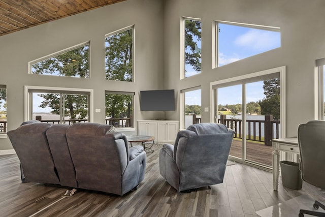 living room with a high ceiling and wood finished floors