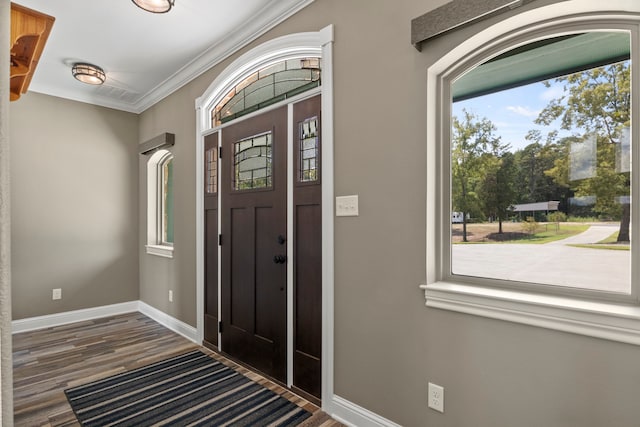 entrance foyer featuring a wealth of natural light, hardwood / wood-style floors, and ornamental molding