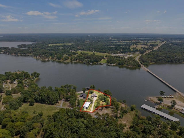 bird's eye view with a water view