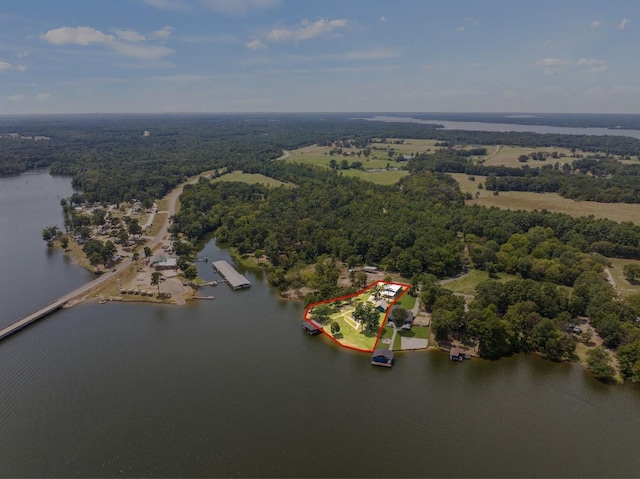 drone / aerial view featuring a water view and a wooded view