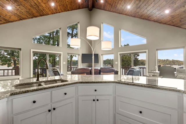 kitchen featuring white cabinets and a healthy amount of sunlight