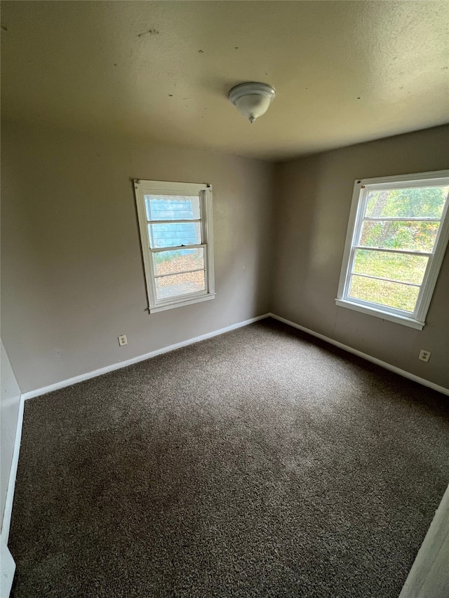 spare room with carpet floors