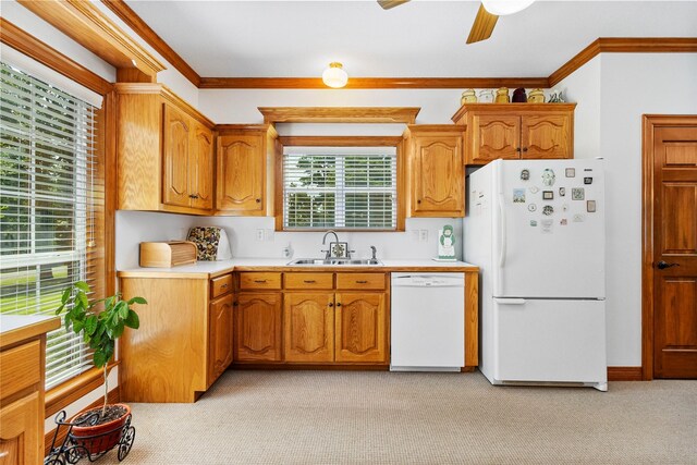 kitchen with ceiling fan, light colored carpet, ornamental molding, sink, and white appliances