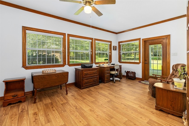 office featuring light wood finished floors, ceiling fan, baseboards, and crown molding