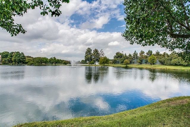 view of water feature