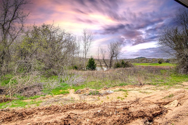 view of nature at dusk