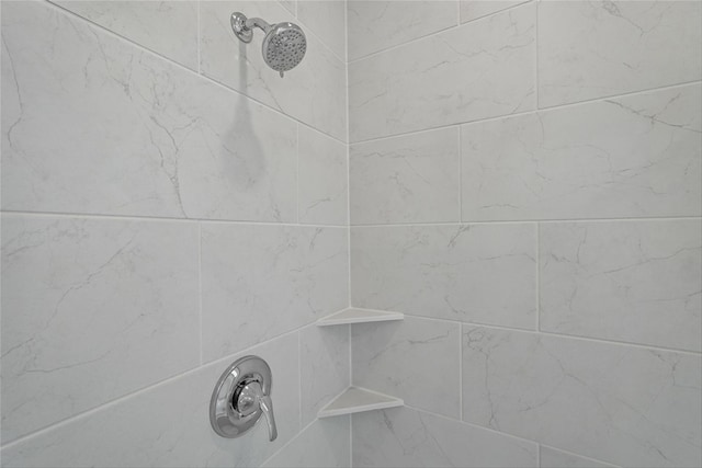 interior details featuring tiled shower