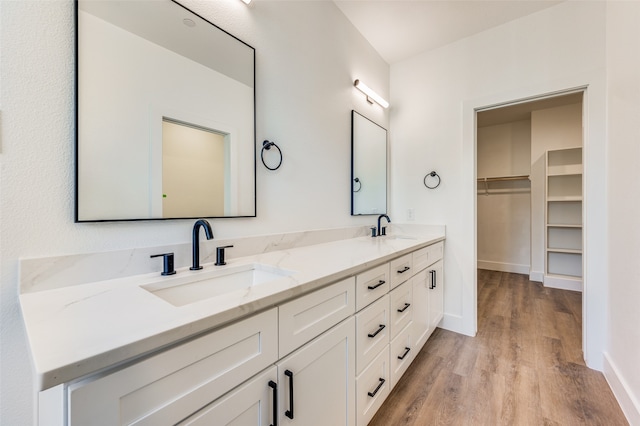 bathroom featuring hardwood / wood-style floors and vanity