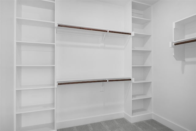 spacious closet featuring carpet flooring