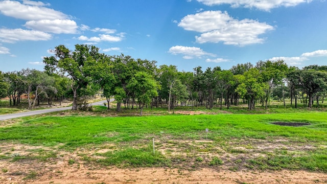 101 Pharris Ct, Weatherford, TX 76087
