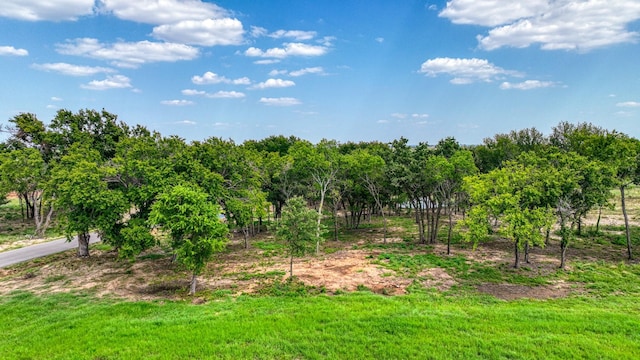 101 Pharris Ct, Weatherford, TX 76087
