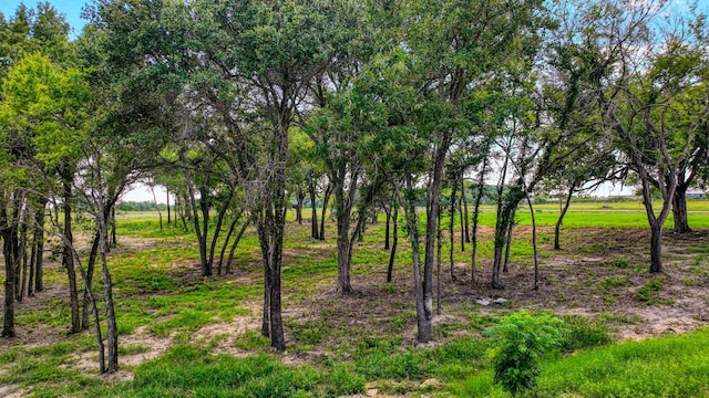 101 Pharris Ct, Weatherford, TX 76087