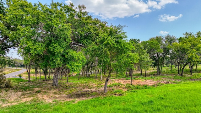 101 Pharris Ct, Weatherford, TX 76087
