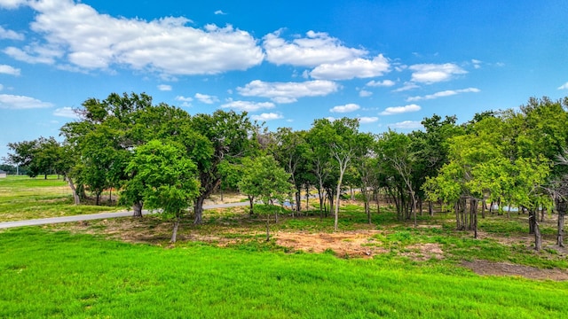101 Pharris Ct, Weatherford, TX 76087