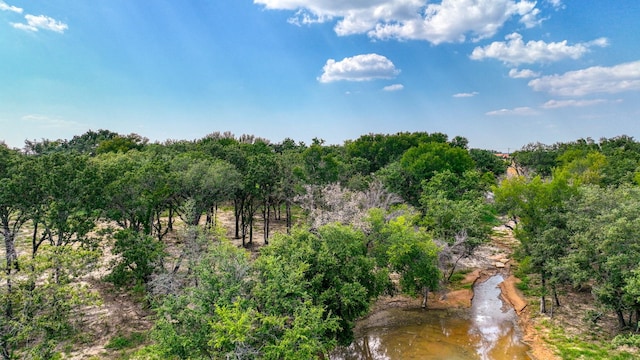 101 Pharris Ct, Weatherford, TX 76087