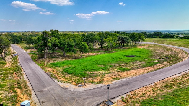 101 Pharris Ct, Weatherford, TX 76087
