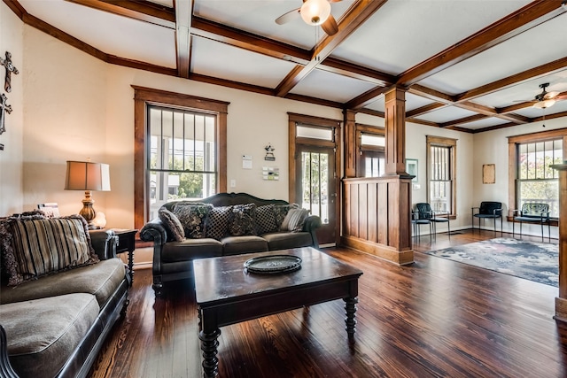 living area featuring baseboards, coffered ceiling, dark wood-style floors, ceiling fan, and beamed ceiling
