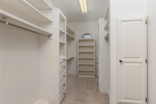 spacious closet with light colored carpet