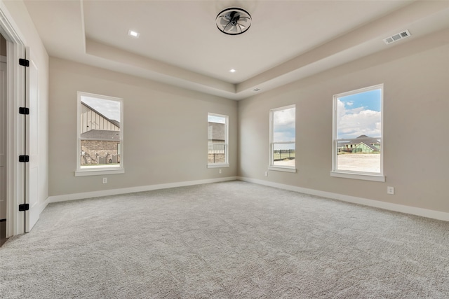 carpeted spare room with a raised ceiling