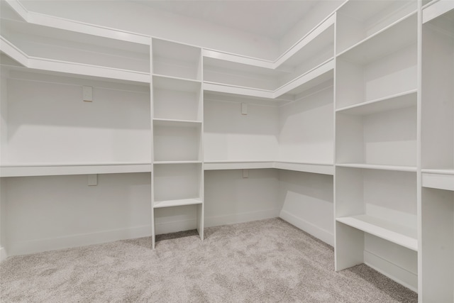 walk in closet with light carpet