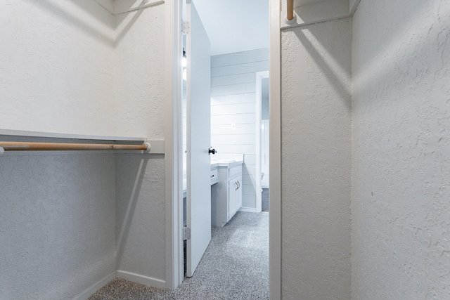 walk in closet with carpet flooring