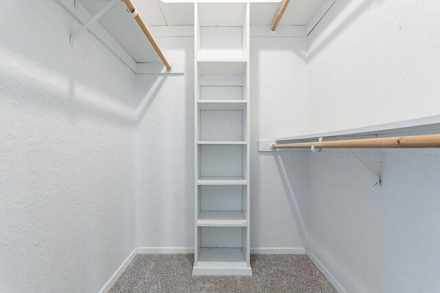 spacious closet with carpet floors