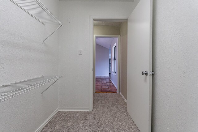 spacious closet with carpet