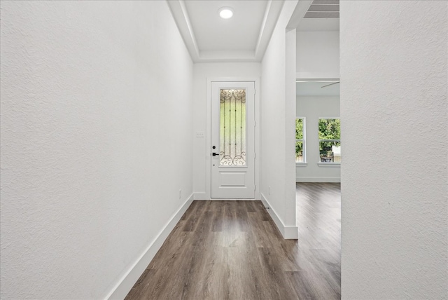 foyer entrance featuring hardwood / wood-style flooring