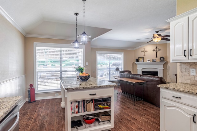 kitchen with crown molding, white cabinetry, dark hardwood / wood-style flooring, decorative backsplash, and vaulted ceiling