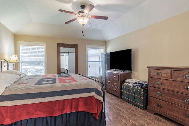 bedroom featuring a raised ceiling, ceiling fan, multiple windows, and hardwood / wood-style flooring