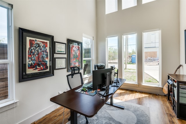 office featuring hardwood / wood-style flooring