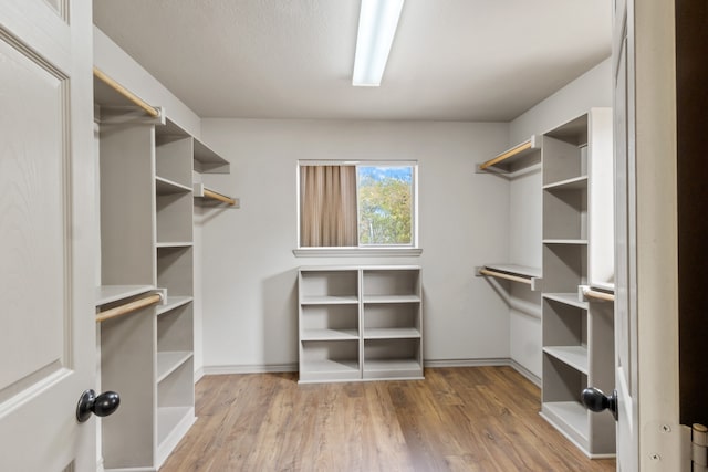 spacious closet featuring hardwood / wood-style flooring