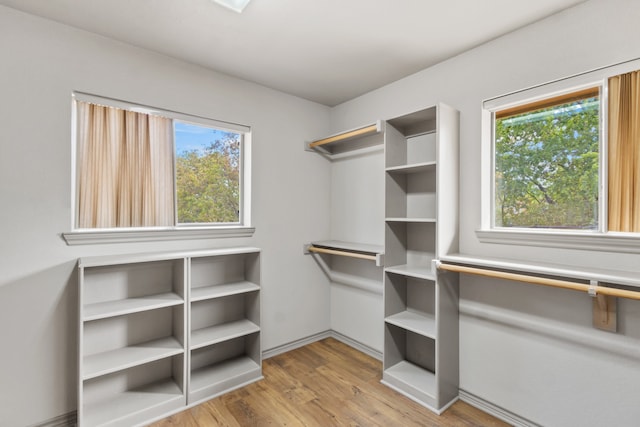 spacious closet with light hardwood / wood-style flooring