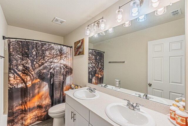 bathroom featuring vanity, toilet, and a shower with shower curtain