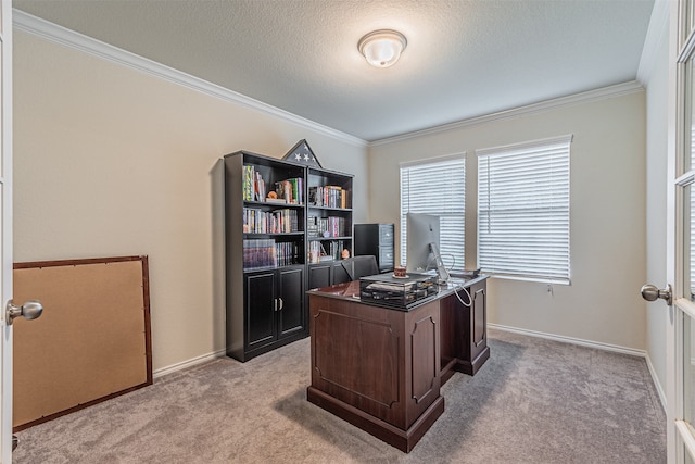 carpeted home office with crown molding and a textured ceiling