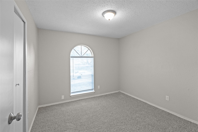 spare room featuring a textured ceiling, a wealth of natural light, and carpet floors