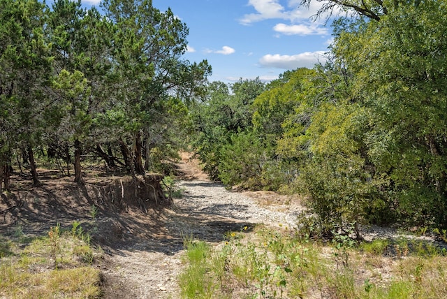 TBD County Road 2371, Meridian, TX 76665