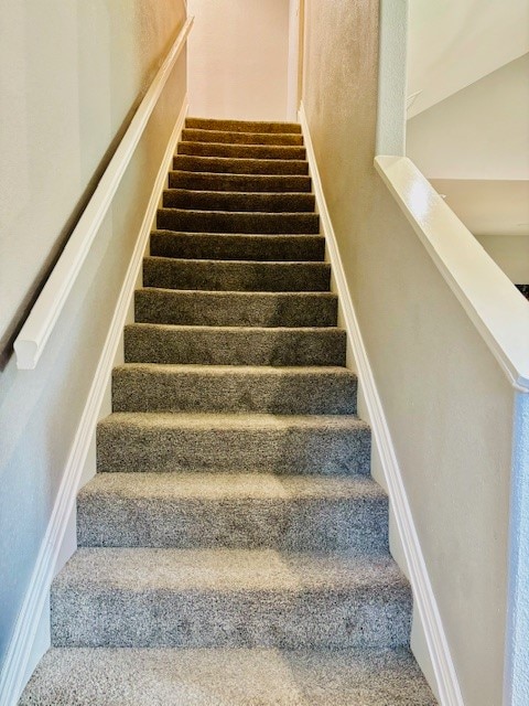 stairs featuring carpet flooring