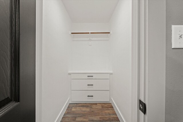 walk in closet featuring dark hardwood / wood-style floors