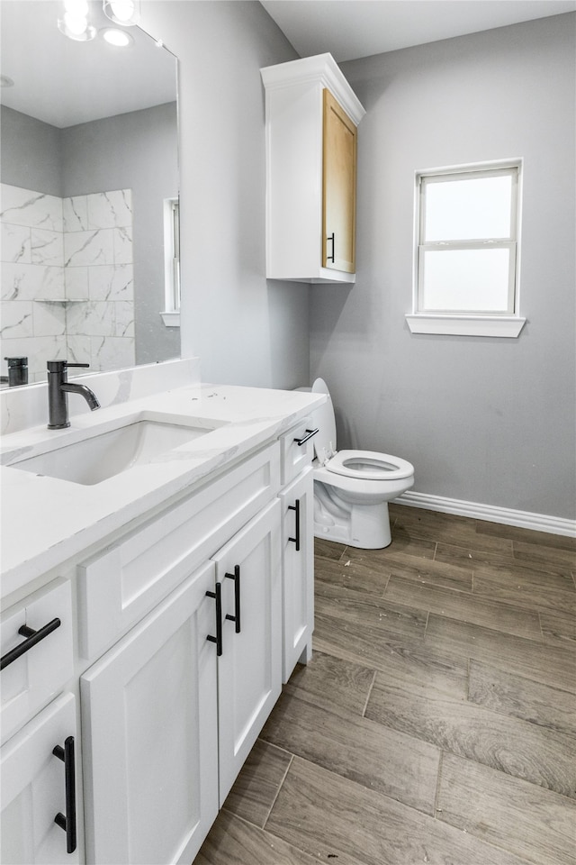 bathroom with toilet and vanity