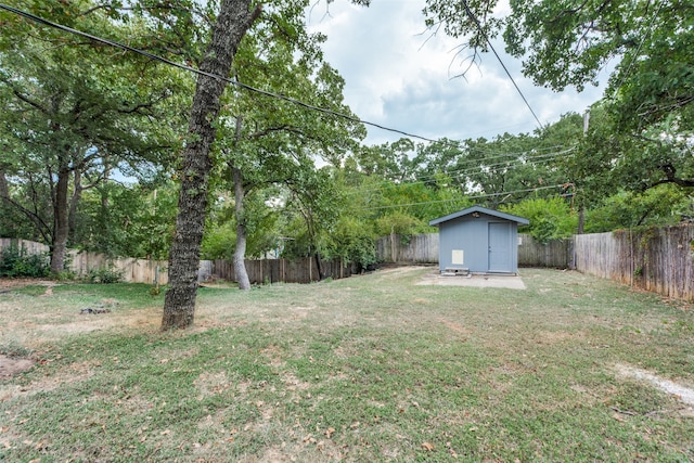 view of yard with a storage unit