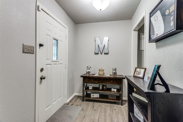 entrance foyer with light hardwood / wood-style flooring