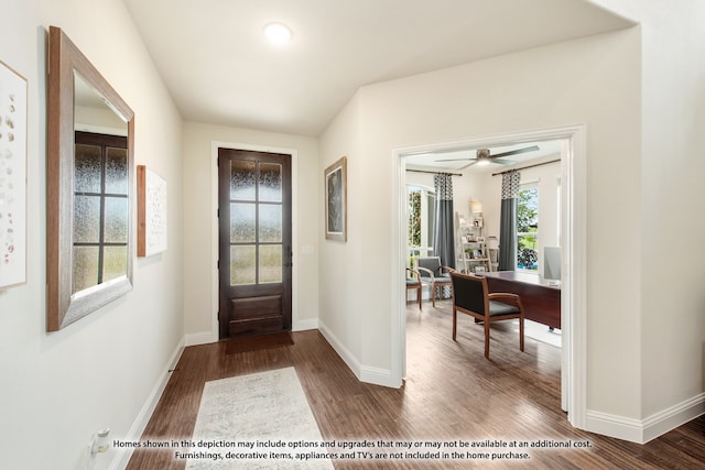 foyer featuring ceiling fan and dark hardwood / wood-style flooring