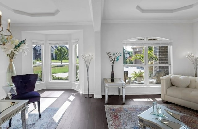 living area with a tray ceiling, dark wood-type flooring, and crown molding